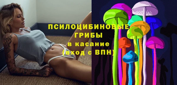 МДПВ Михайловск