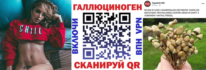 Псилоцибиновые грибы ЛСД  Купить где  Пучеж 